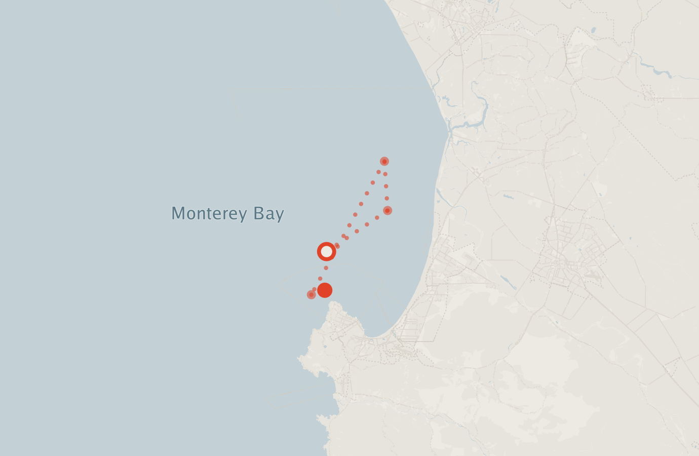 Activity map — real sighting points on an OpenStreetMap basemap