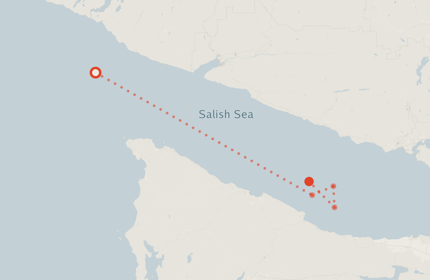 Activity map — real sighting points on an OpenStreetMap basemap