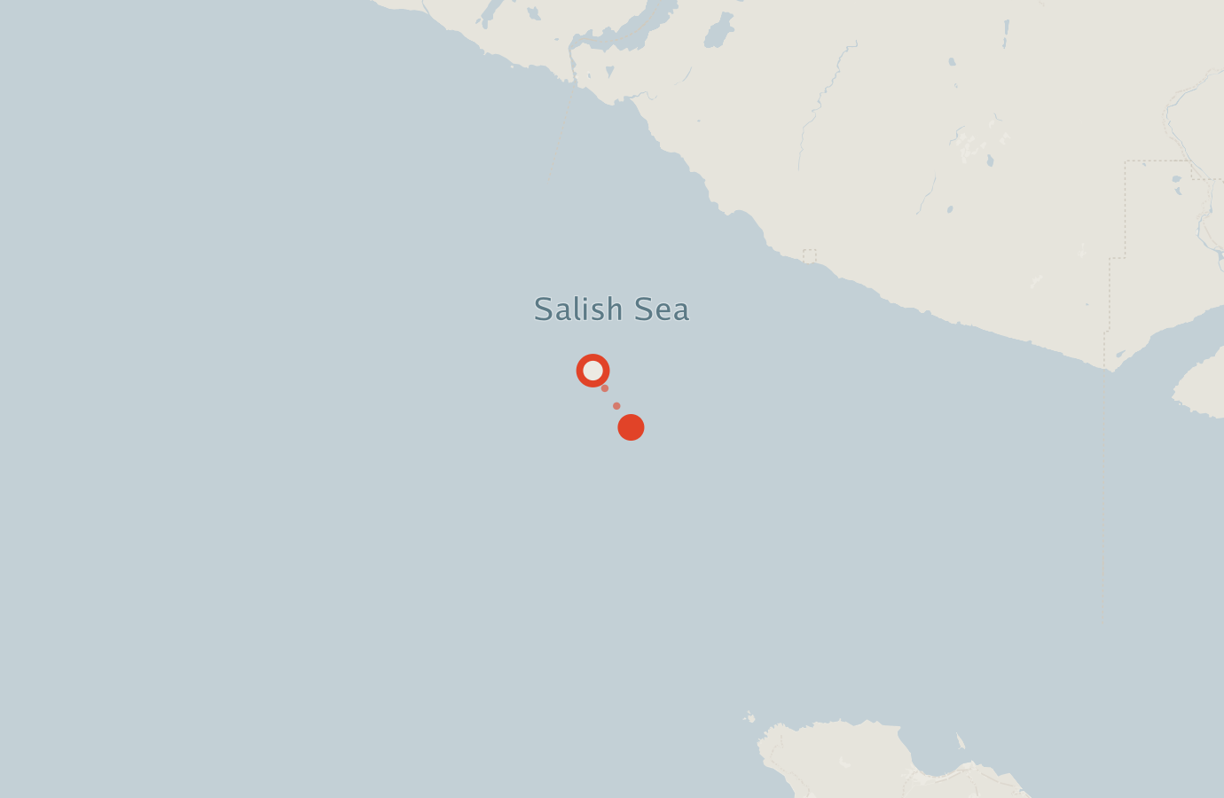 Activity map — real sighting points on an OpenStreetMap basemap