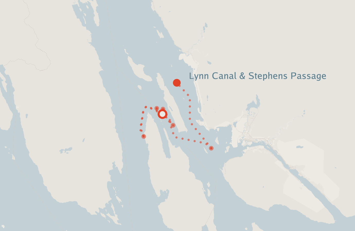 Activity map — real sighting points on an OpenStreetMap basemap