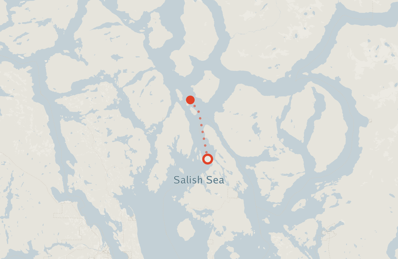 Activity map — real sighting points on an OpenStreetMap basemap