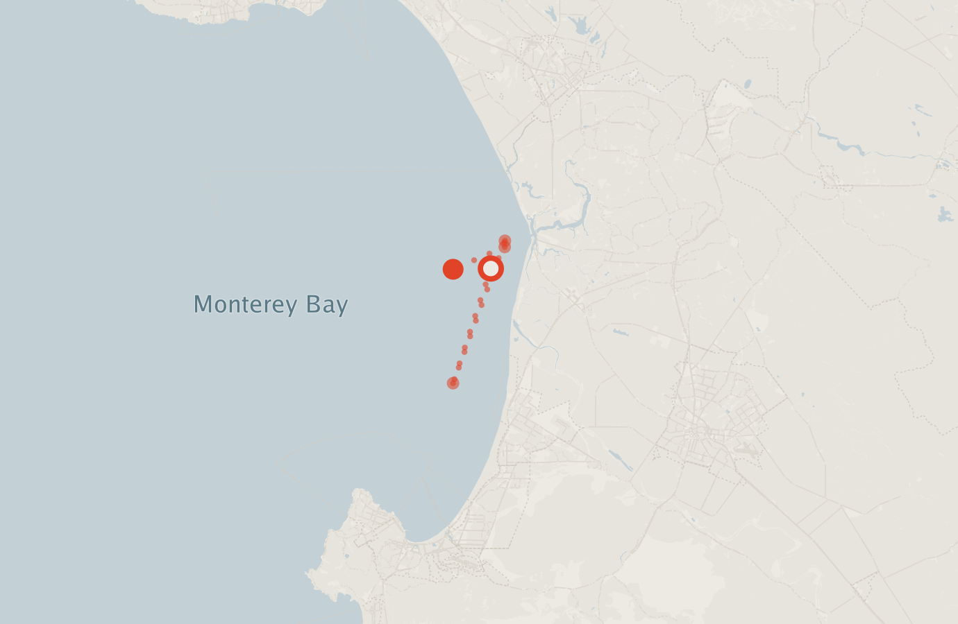 Activity map — real sighting points on an OpenStreetMap basemap