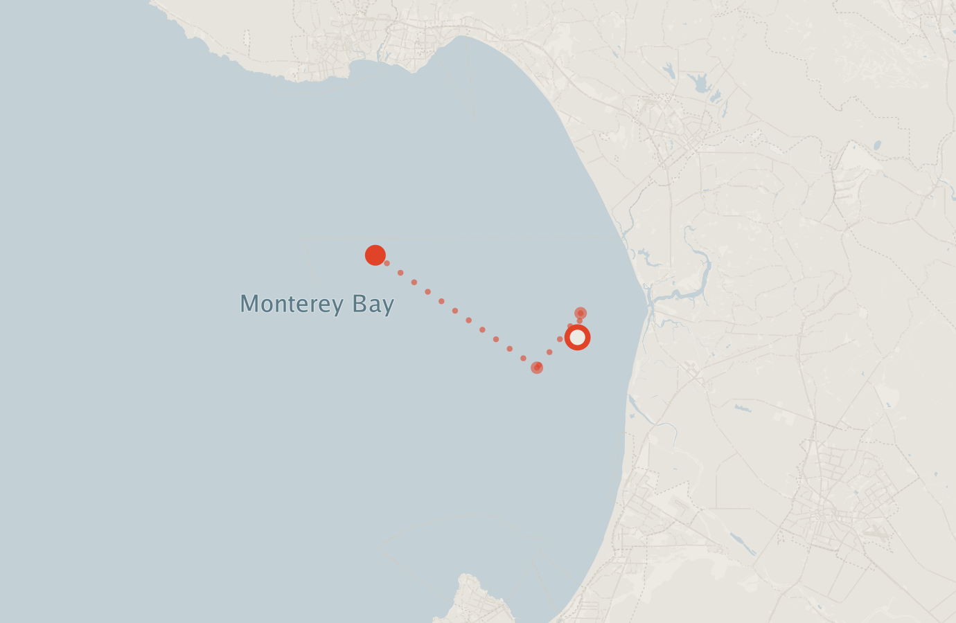 Activity map — real sighting points on an OpenStreetMap basemap