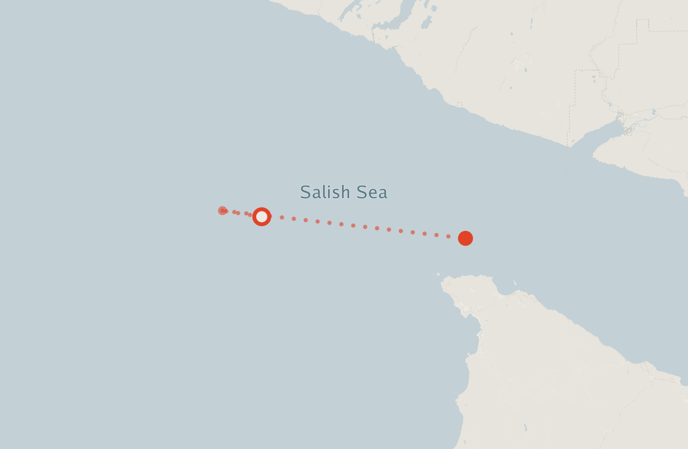 Activity map — real sighting points on an OpenStreetMap basemap