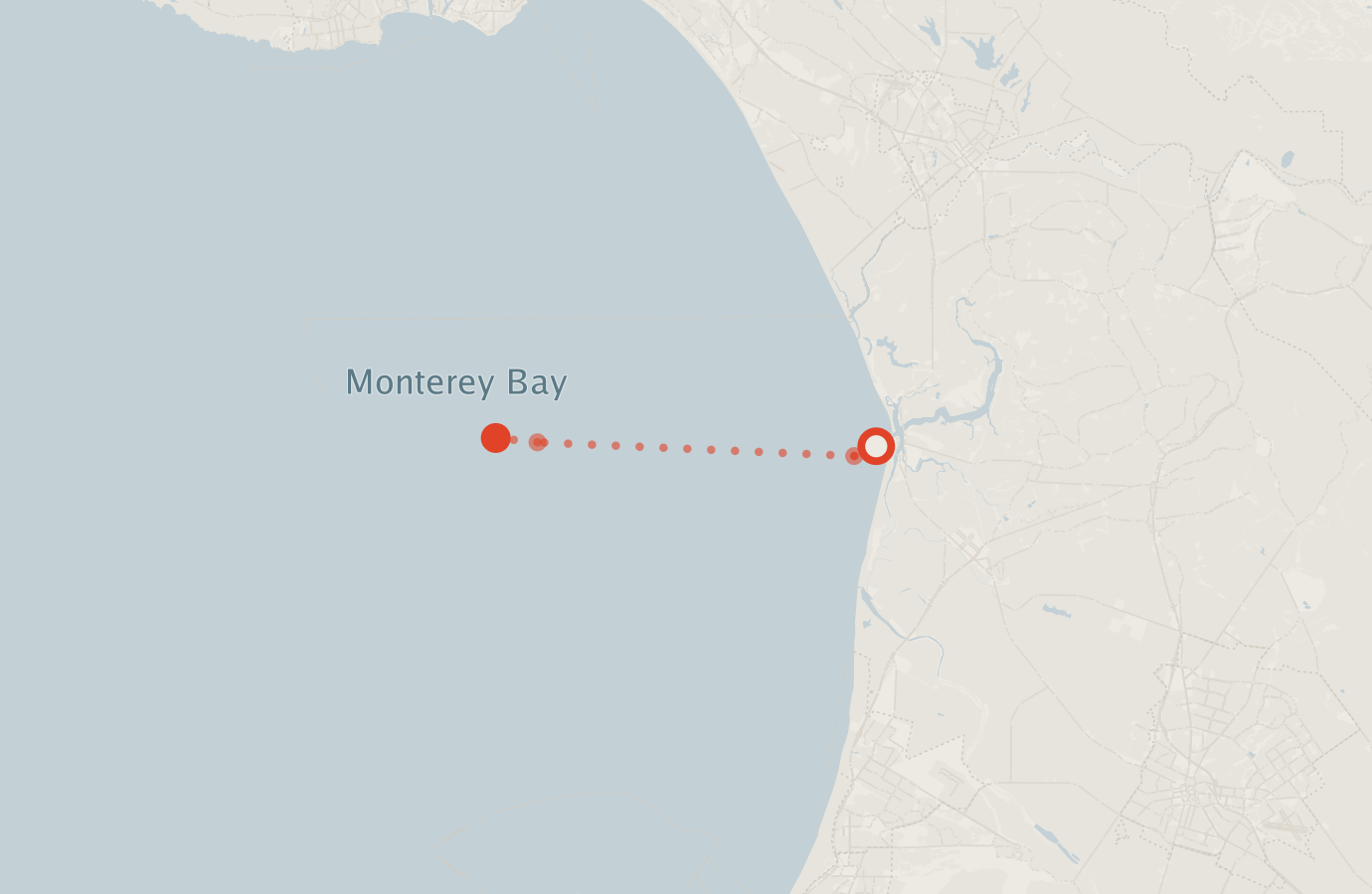Activity map — real sighting points on an OpenStreetMap basemap