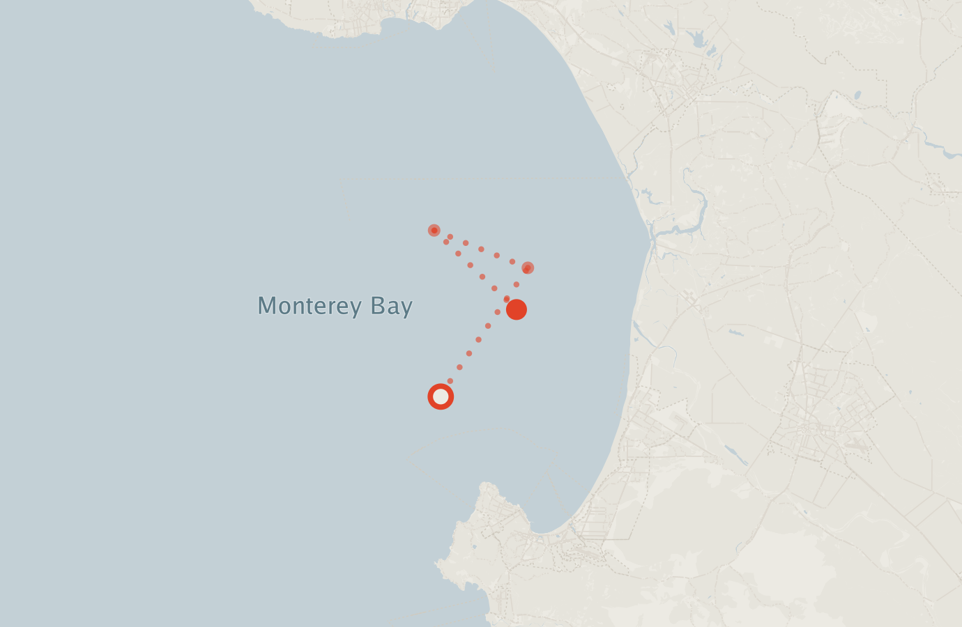 Activity map — real sighting points on an OpenStreetMap basemap