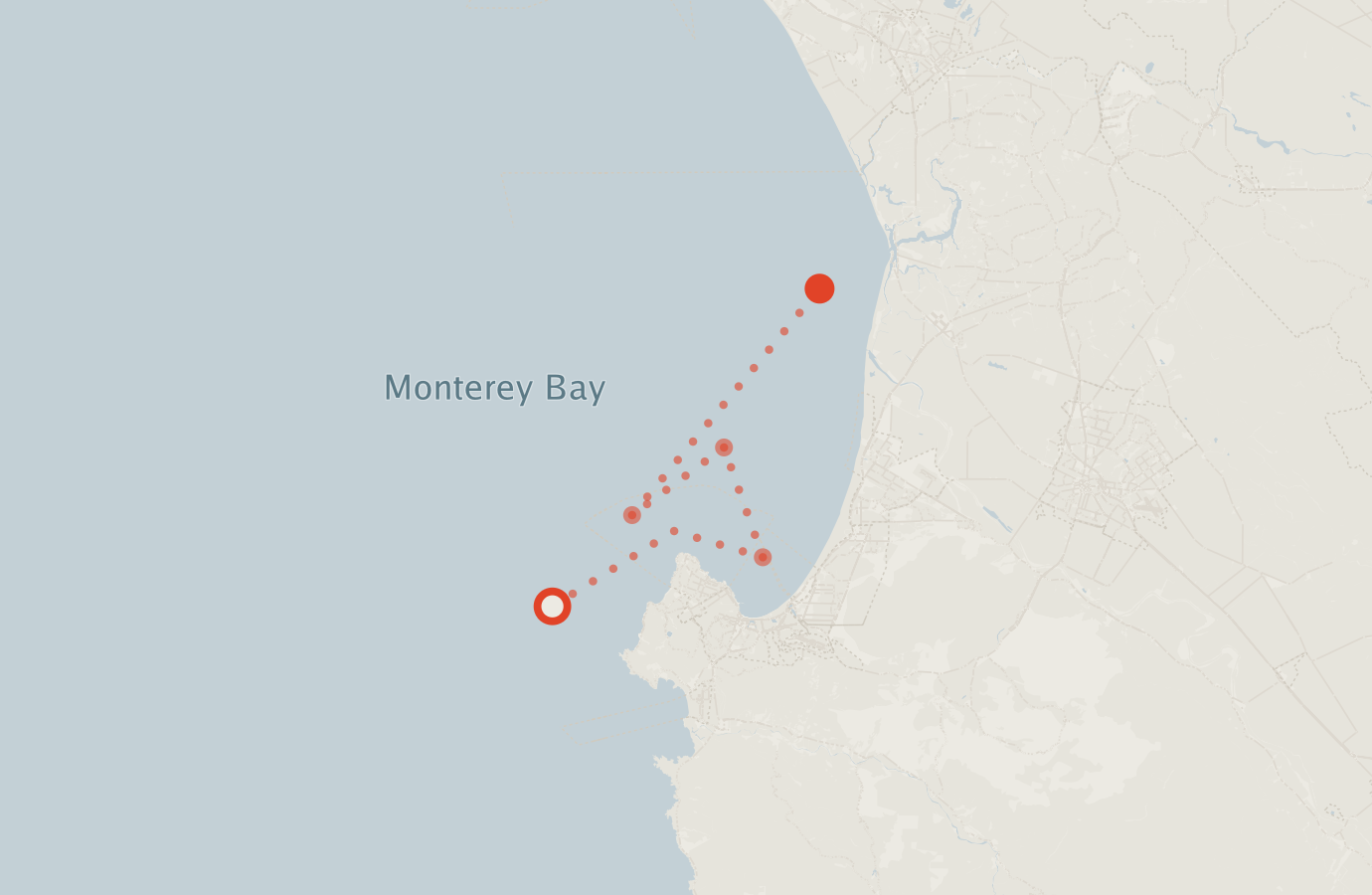 Activity map — real sighting points on an OpenStreetMap basemap