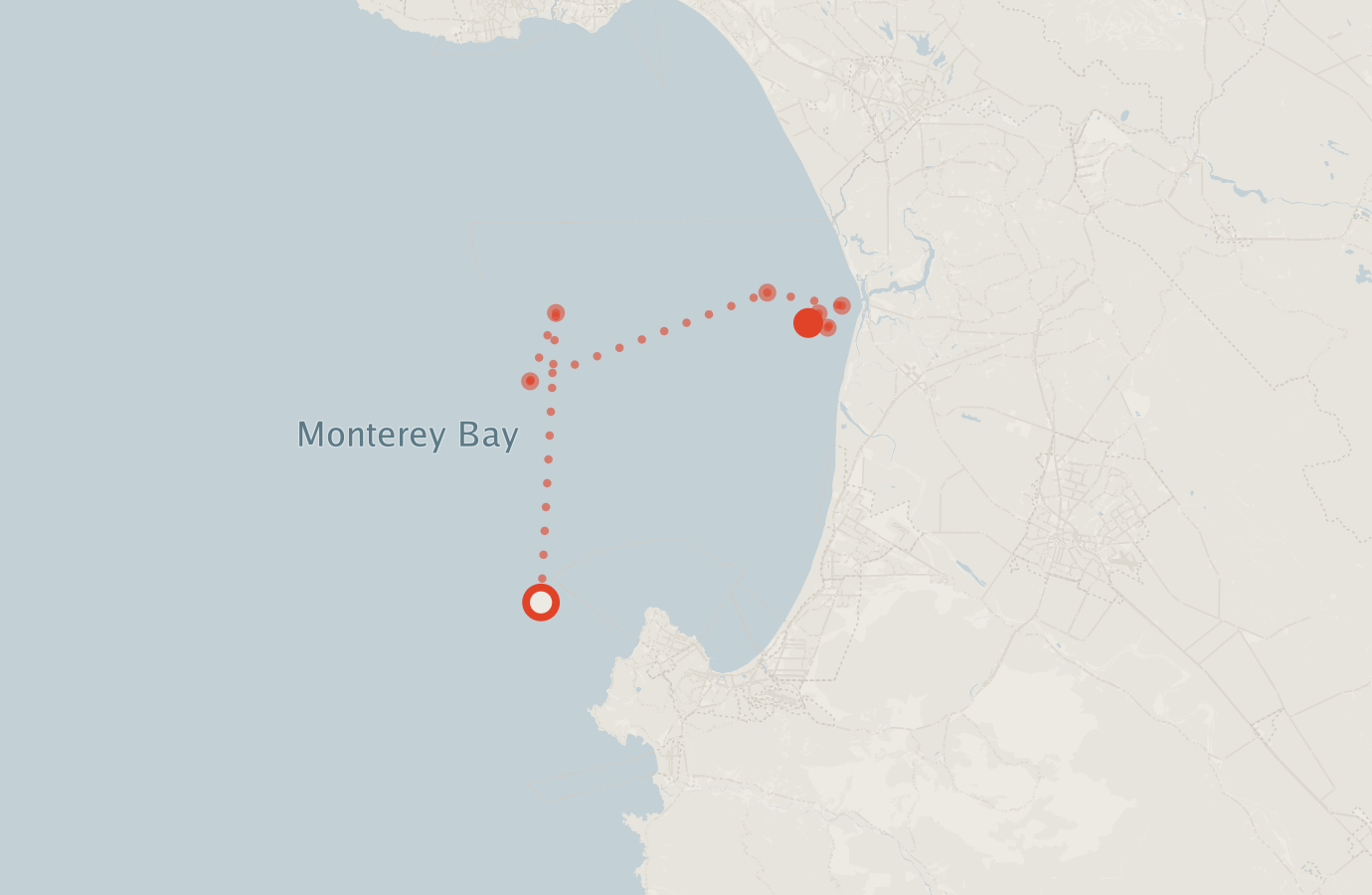 Activity map — real sighting points on an OpenStreetMap basemap