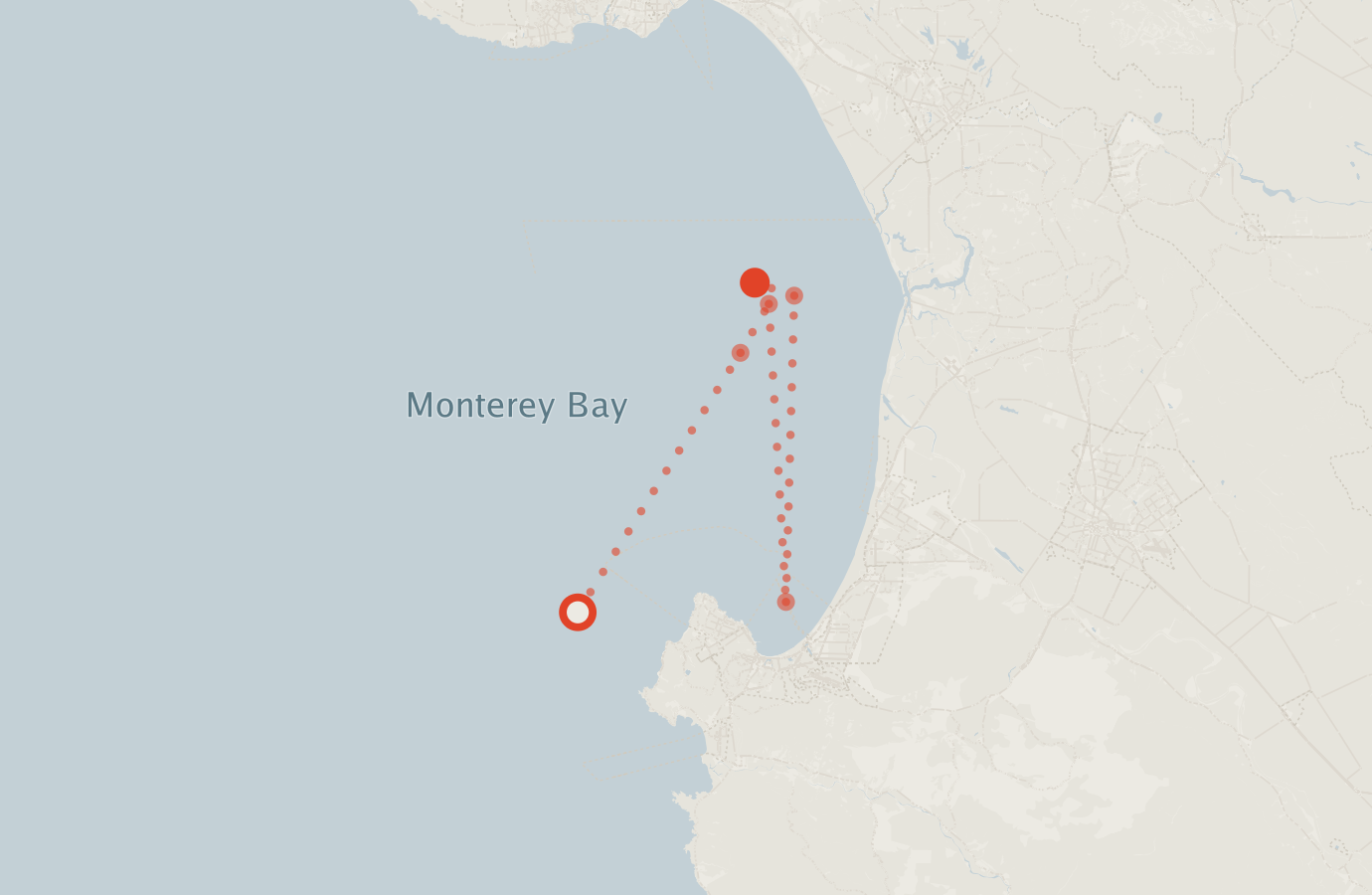 Activity map — real sighting points on an OpenStreetMap basemap