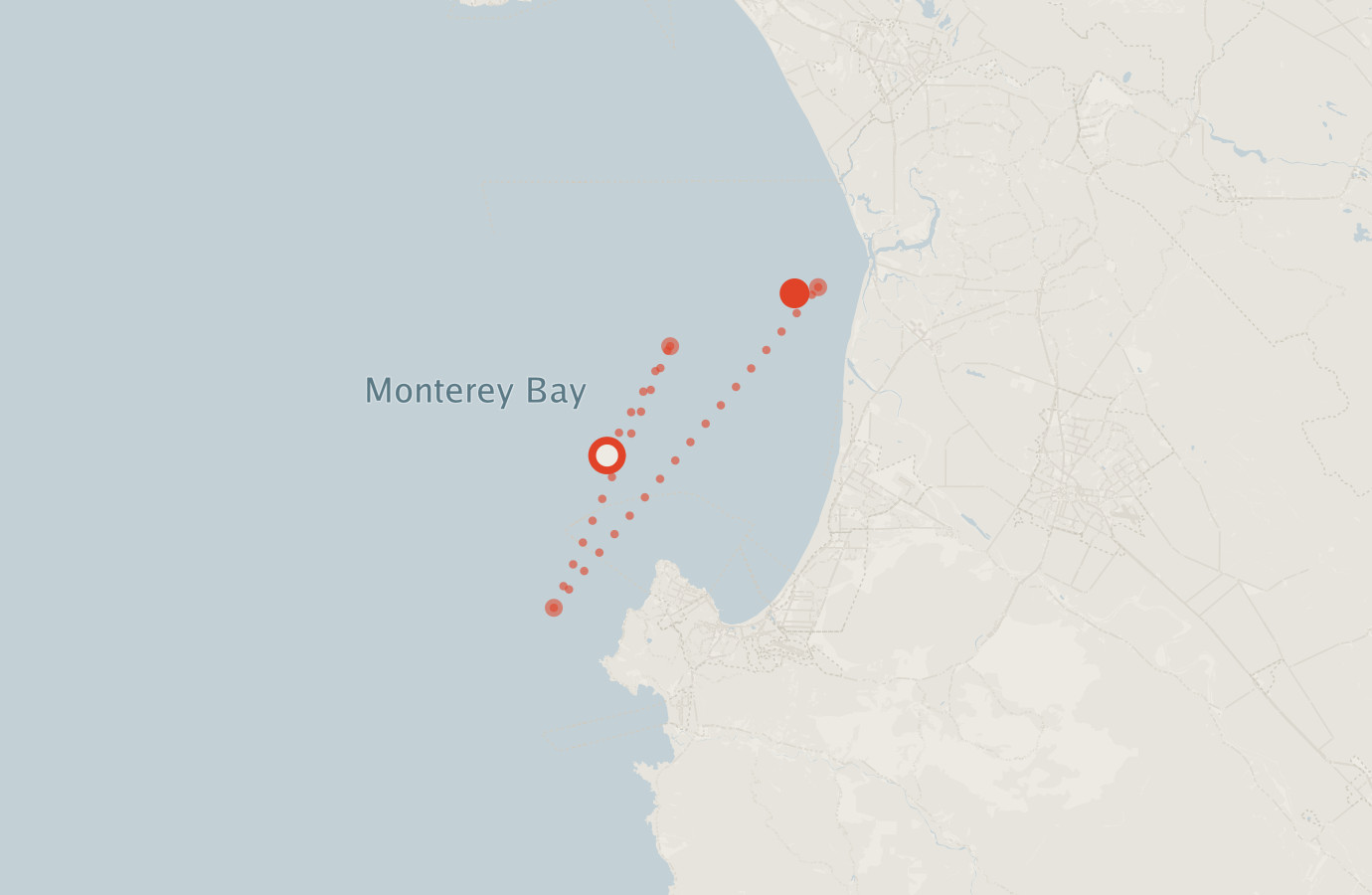 Activity map — real sighting points on an OpenStreetMap basemap