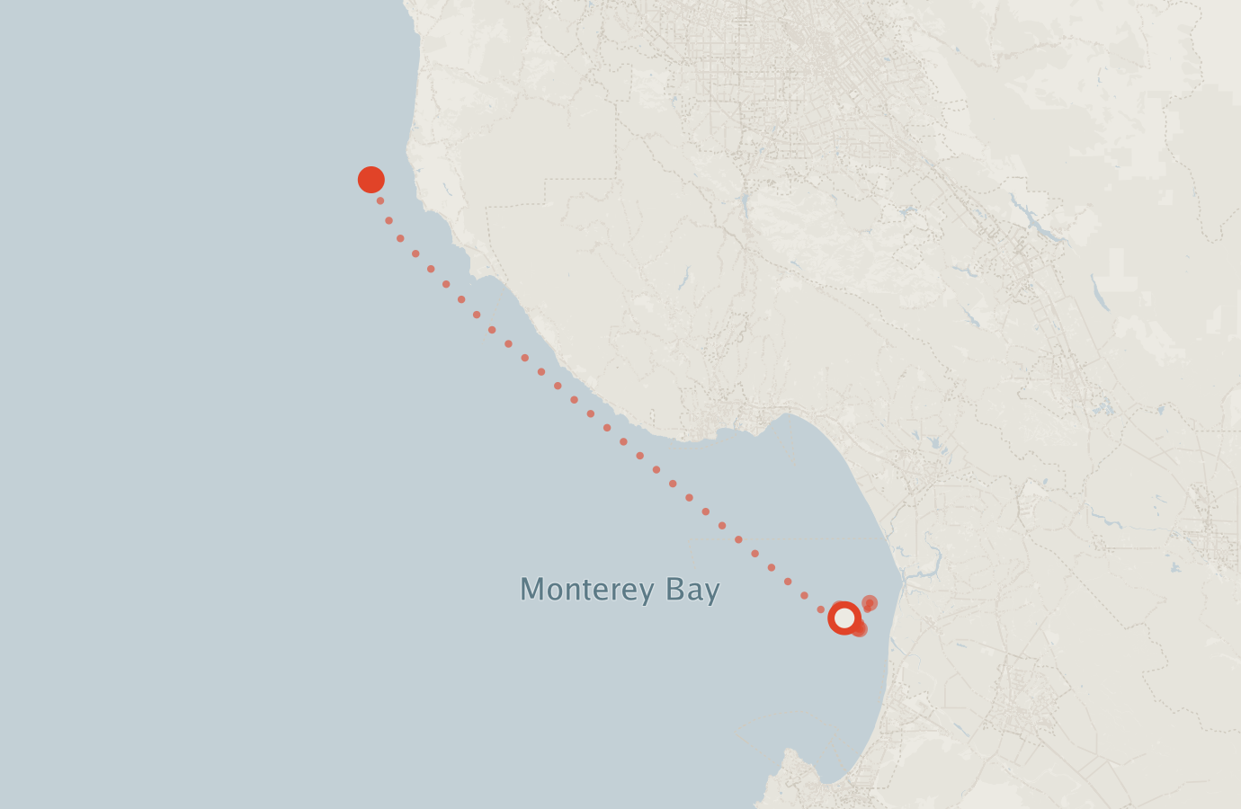 Activity map — real sighting points on an OpenStreetMap basemap