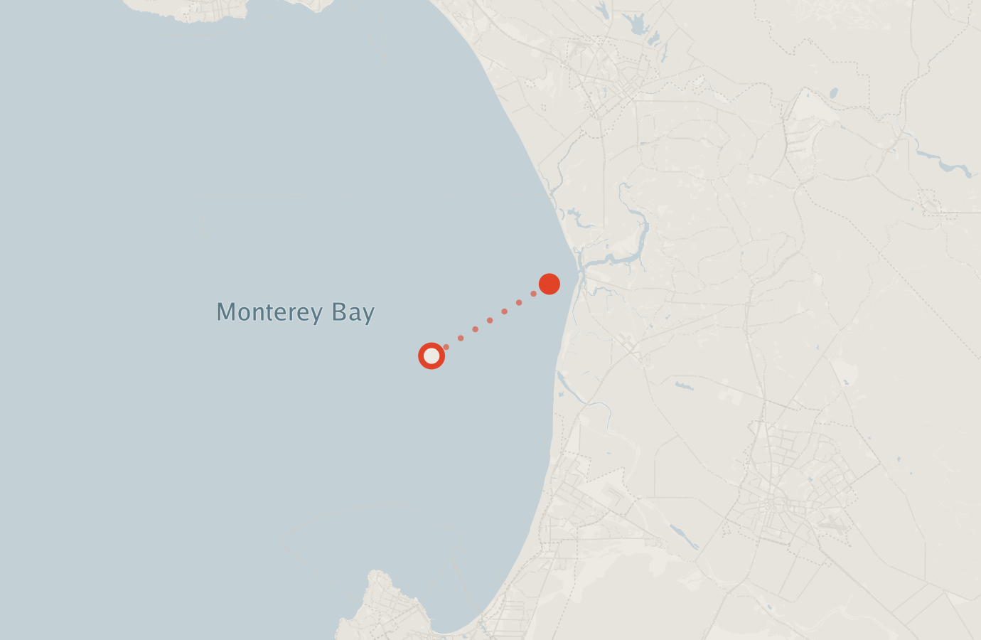 Activity map — real sighting points on an OpenStreetMap basemap