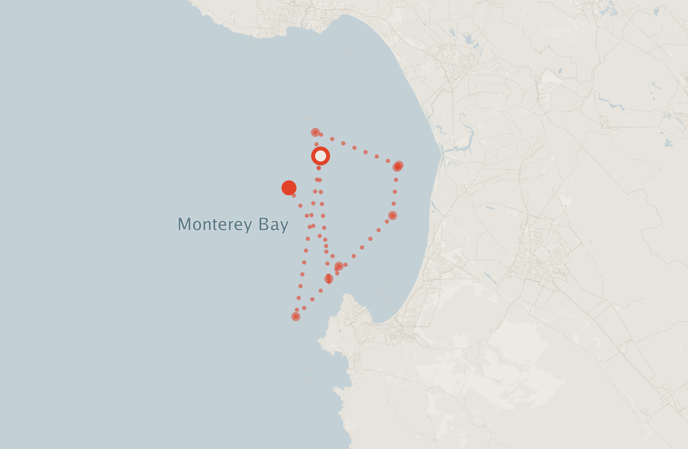 Activity map — real sighting points on an OpenStreetMap basemap