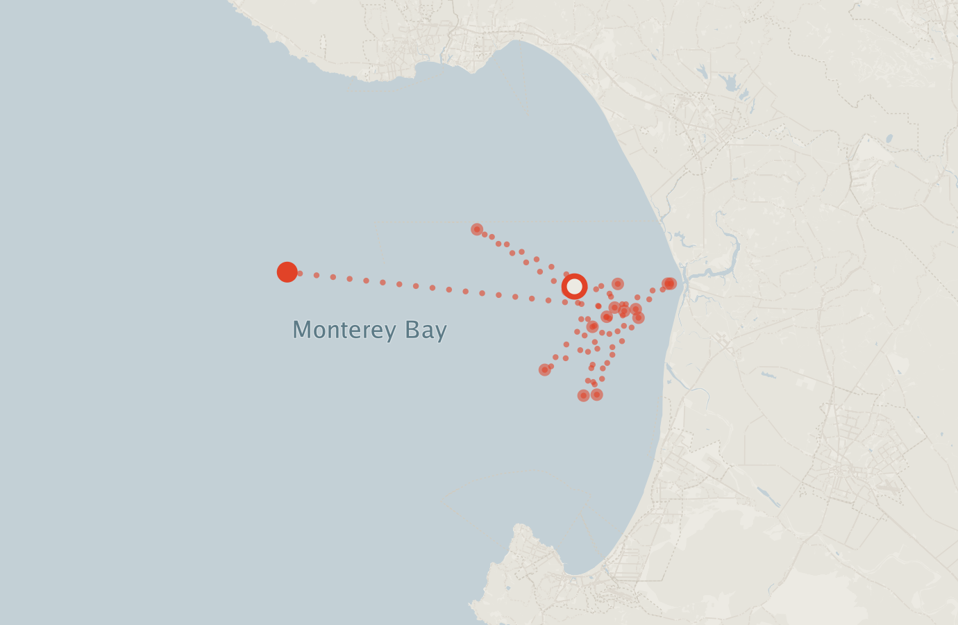 Activity map — real sighting points on an OpenStreetMap basemap