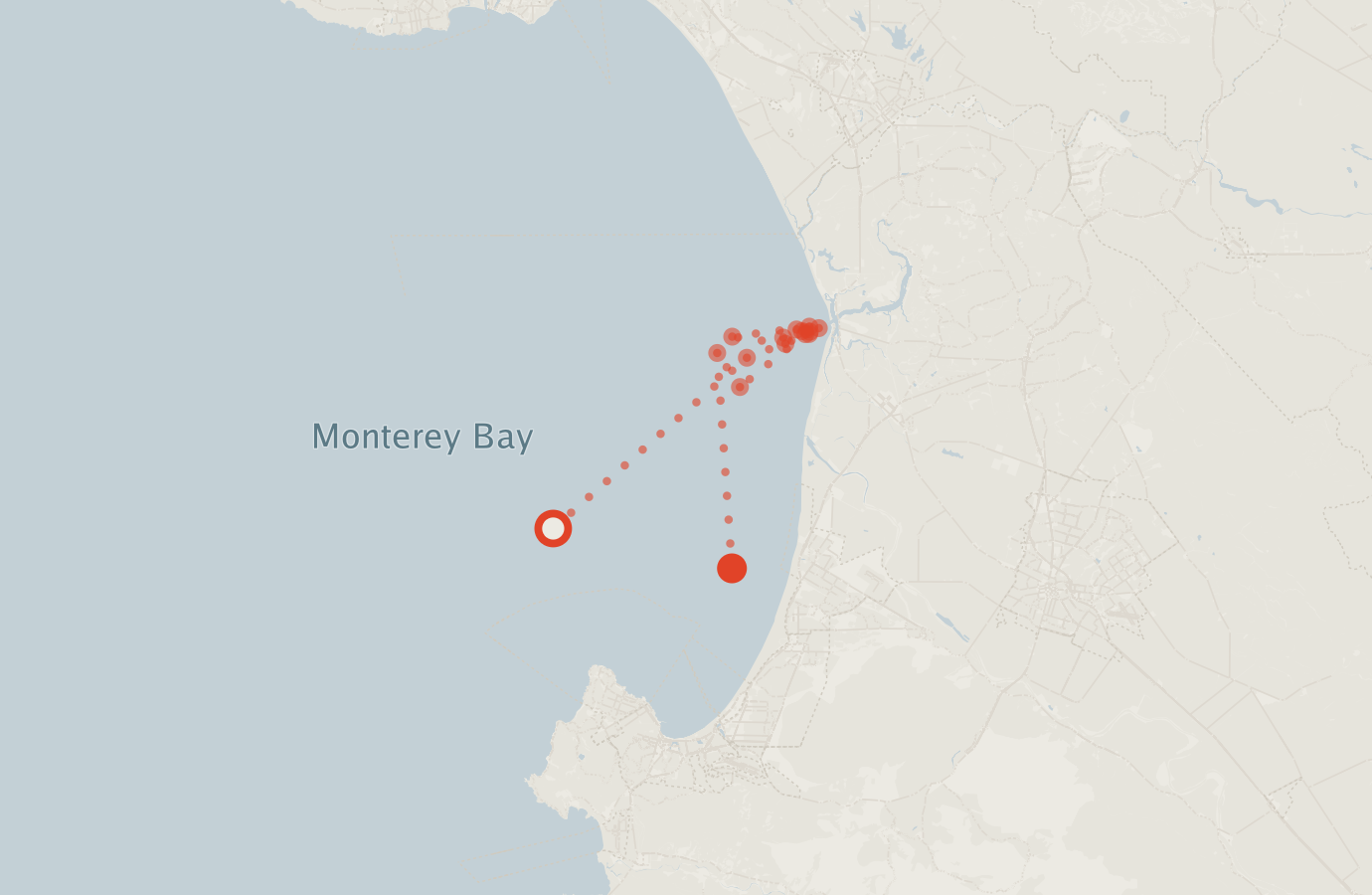Activity map — real sighting points on an OpenStreetMap basemap