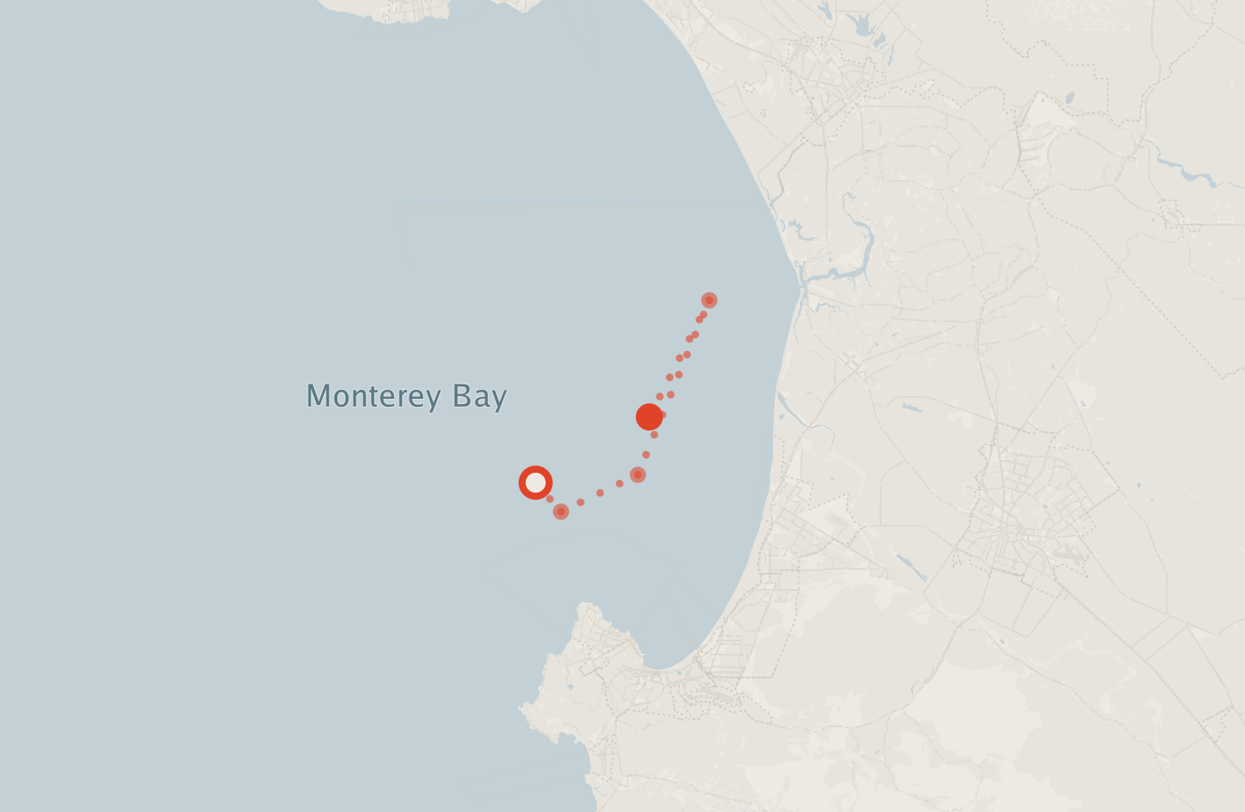 Activity map — real sighting points on an OpenStreetMap basemap