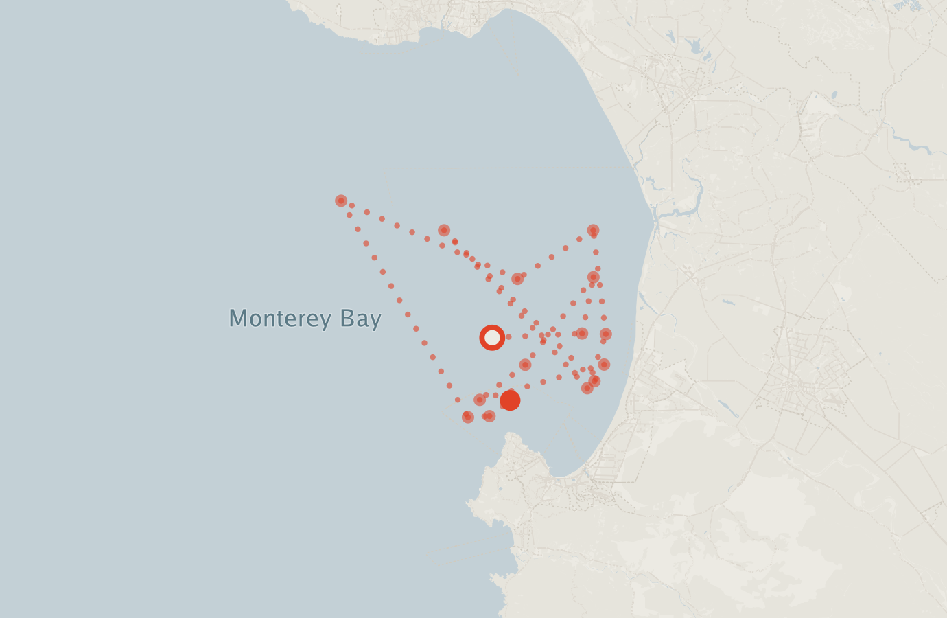 Activity map — real sighting points on an OpenStreetMap basemap