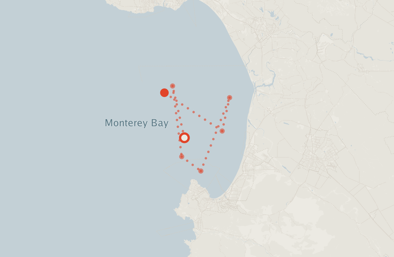 Activity map — real sighting points on an OpenStreetMap basemap