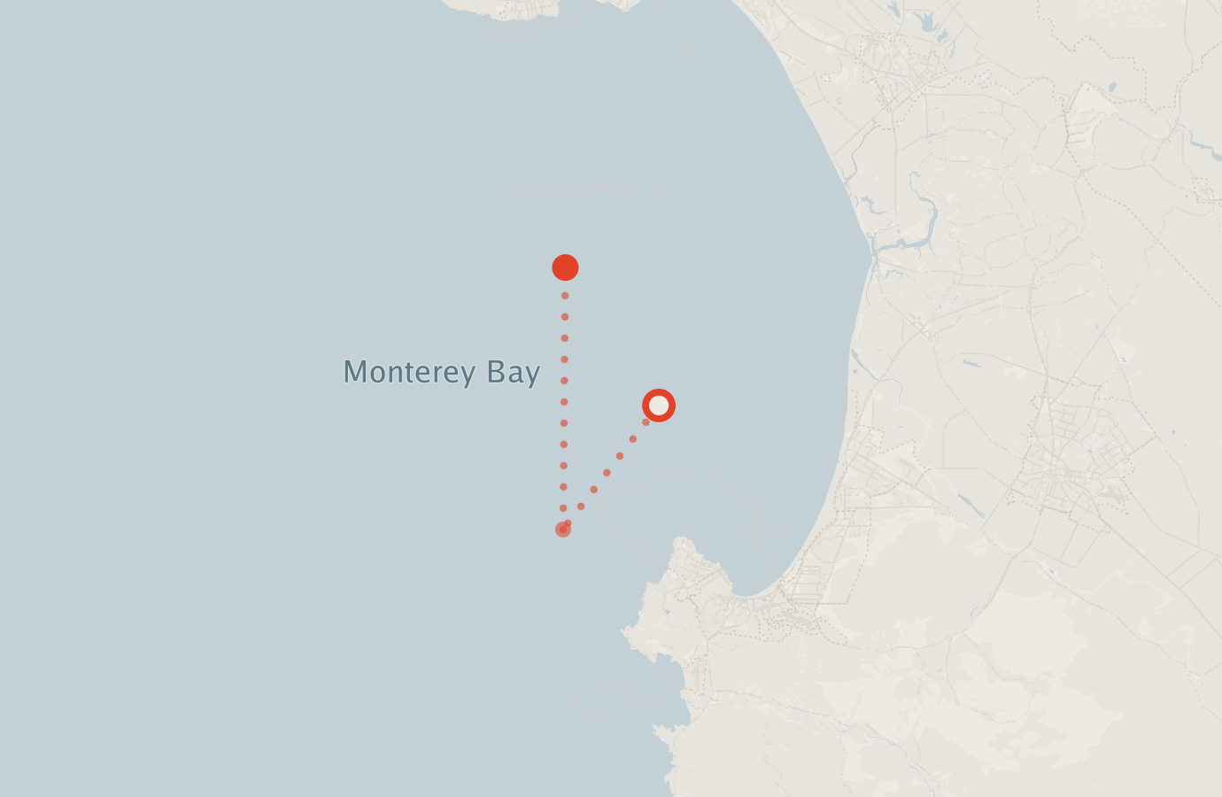 Activity map — real sighting points on an OpenStreetMap basemap