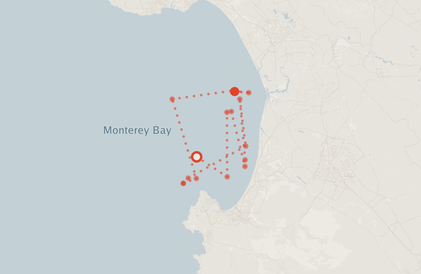 Activity map — real sighting points on an OpenStreetMap basemap