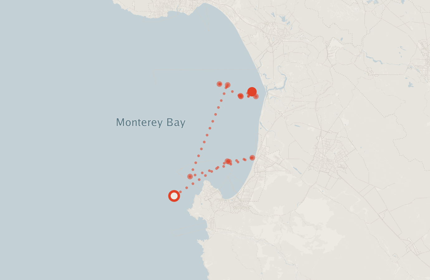 Activity map — real sighting points on an OpenStreetMap basemap