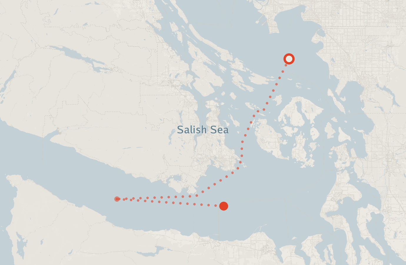 Activity map — real sighting points on an OpenStreetMap basemap