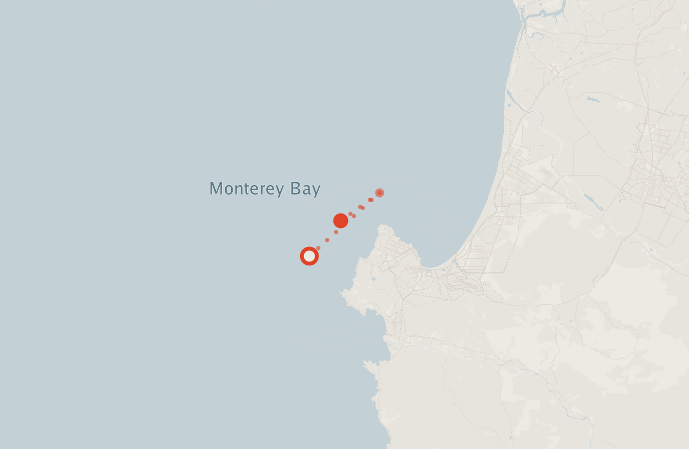 Activity map — real sighting points on an OpenStreetMap basemap