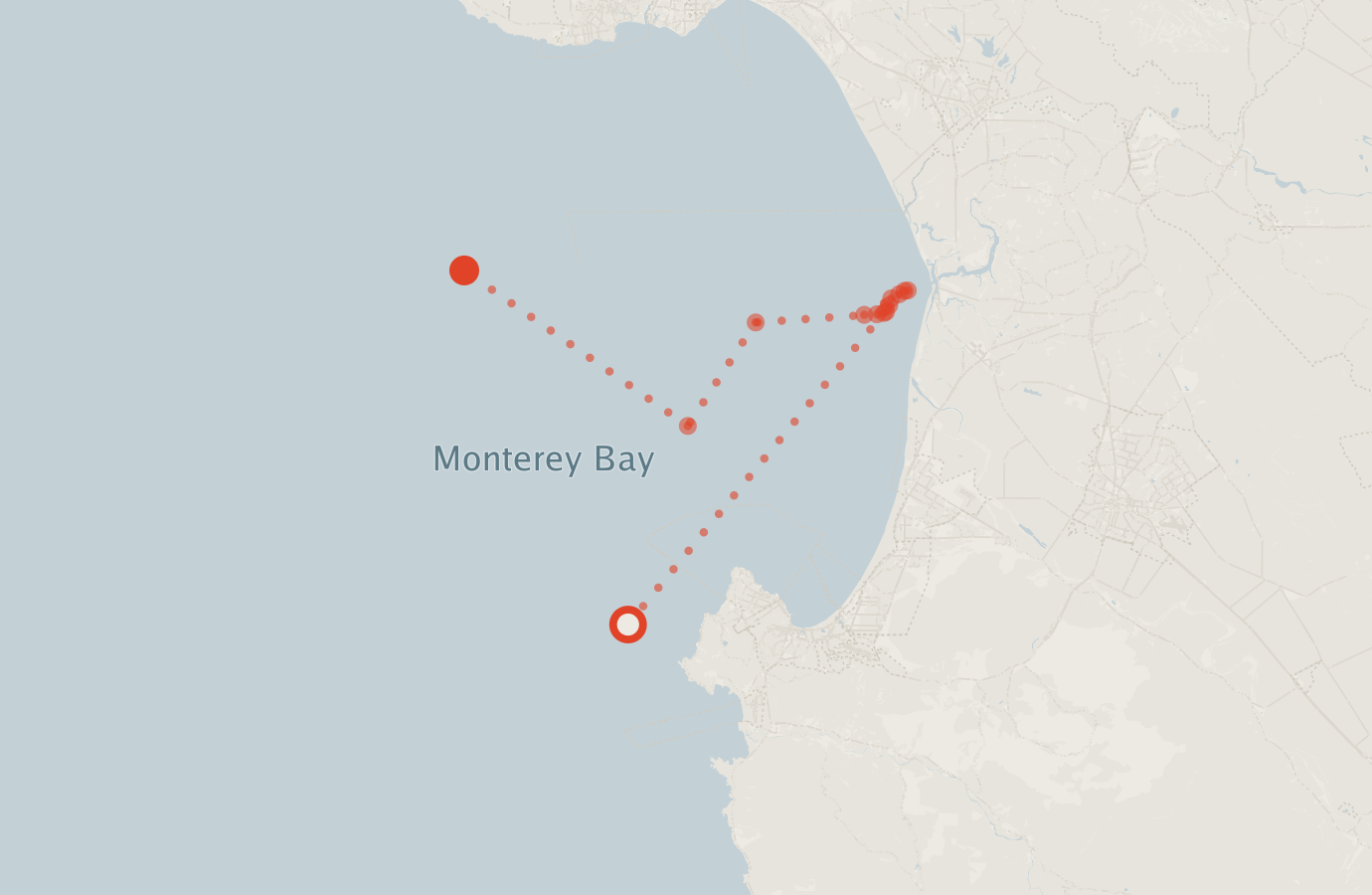 Activity map — real sighting points on an OpenStreetMap basemap