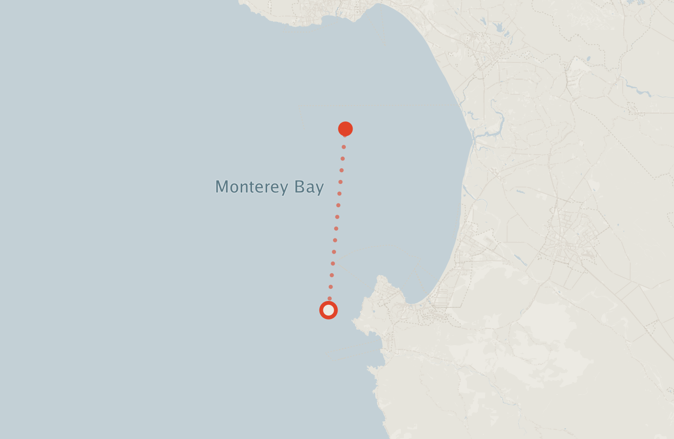 Activity map — real sighting points on an OpenStreetMap basemap