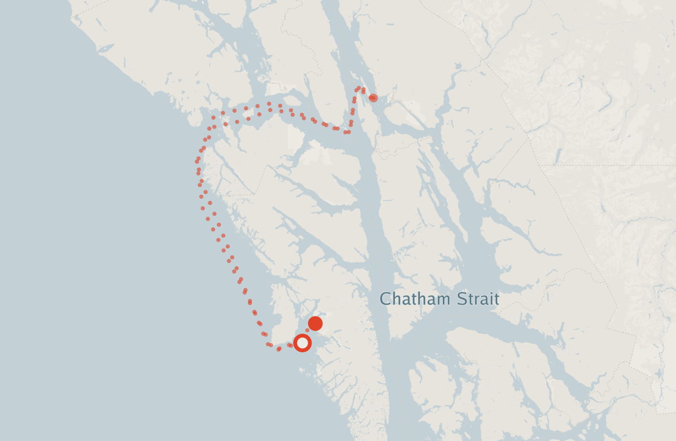 Activity map — real sighting points on an OpenStreetMap basemap