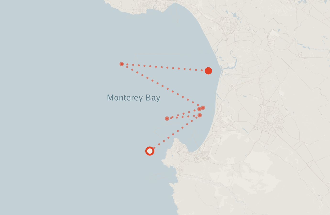 Activity map — real sighting points on an OpenStreetMap basemap