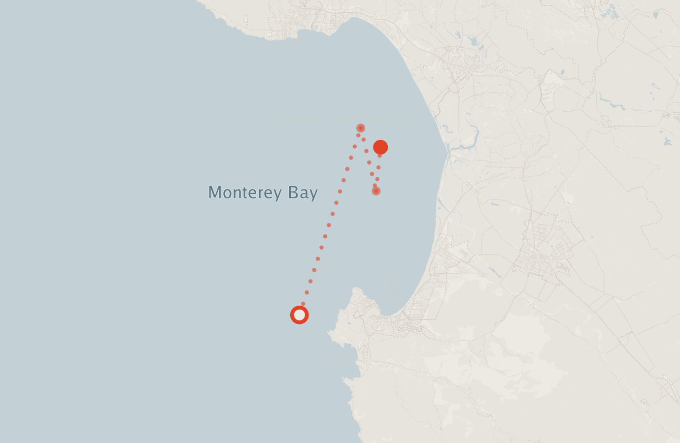 Activity map — real sighting points on an OpenStreetMap basemap