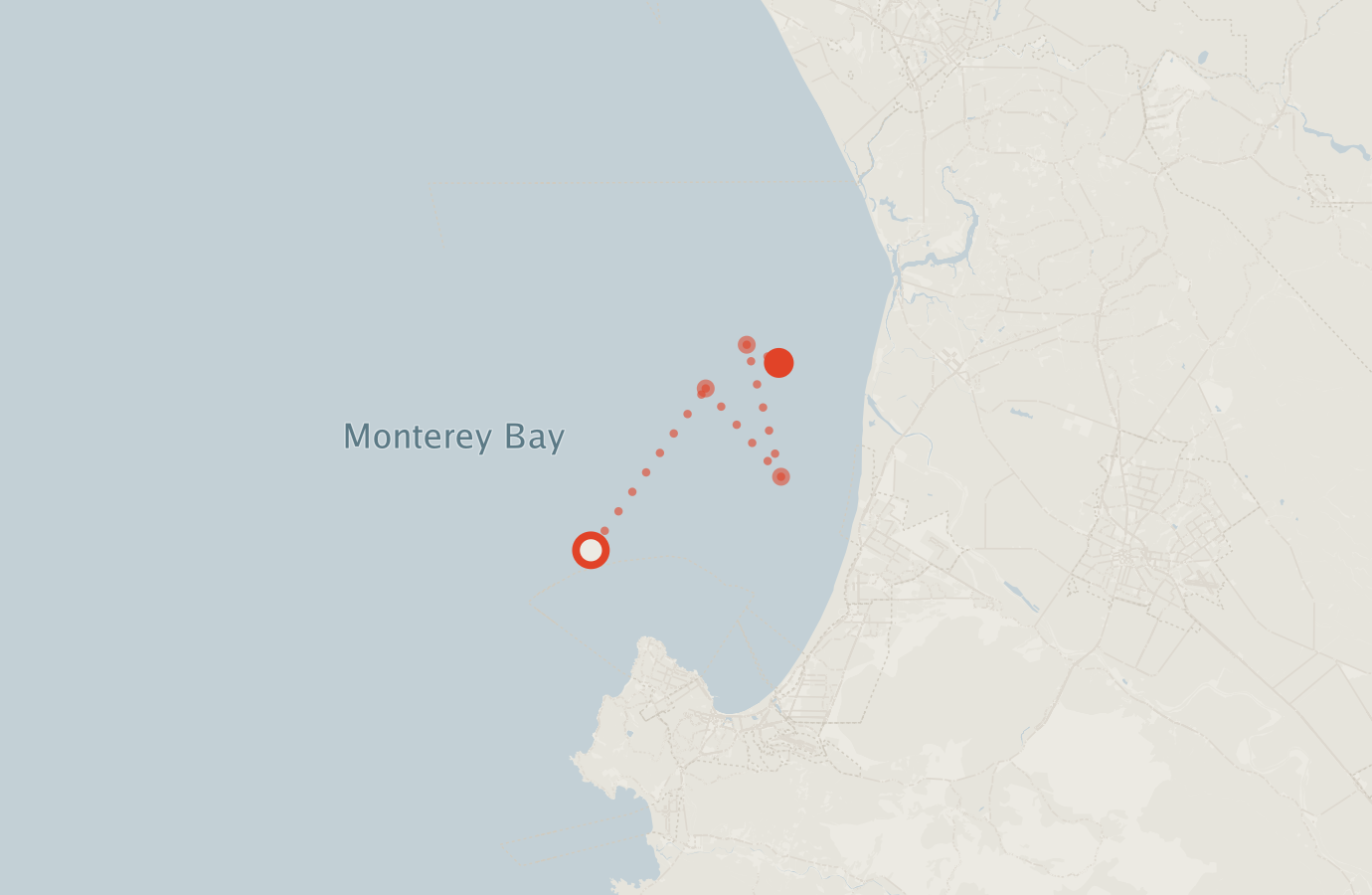 Activity map — real sighting points on an OpenStreetMap basemap