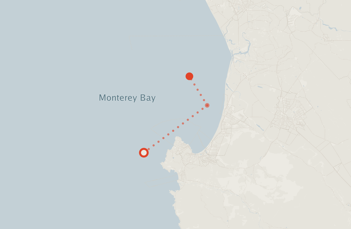 Activity map — real sighting points on an OpenStreetMap basemap