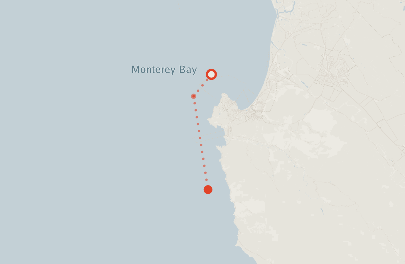 Activity map — real sighting points on an OpenStreetMap basemap
