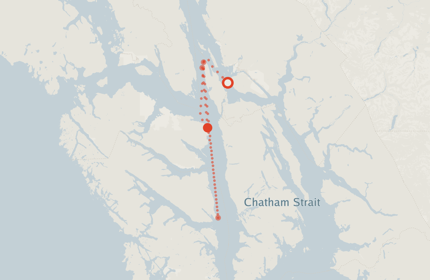 Activity map — real sighting points on an OpenStreetMap basemap