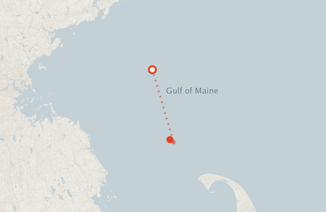 Activity map — real sighting points on an OpenStreetMap basemap