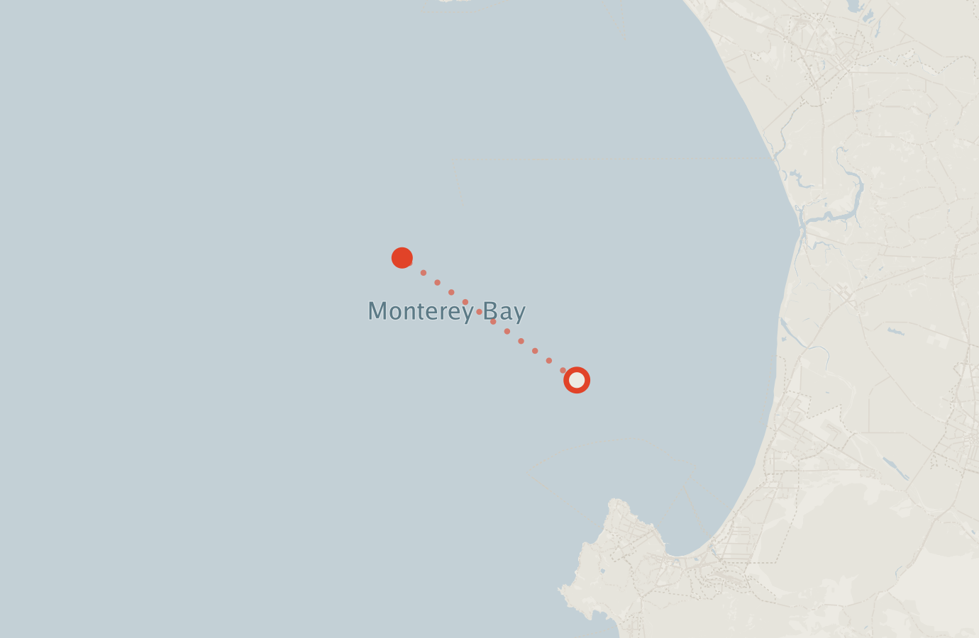 Activity map — real sighting points on an OpenStreetMap basemap