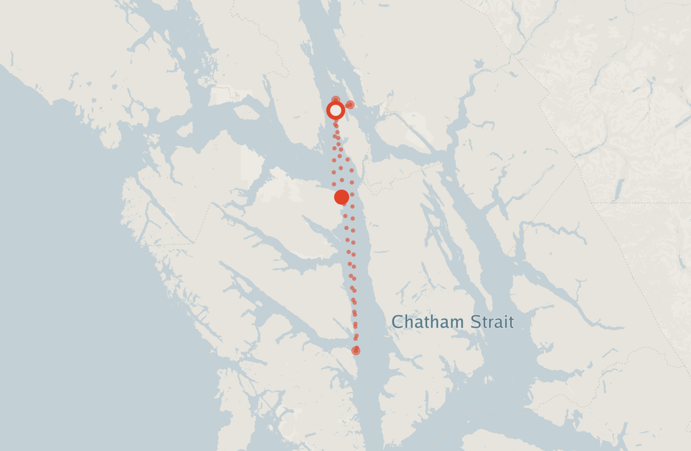 Activity map — real sighting points on an OpenStreetMap basemap