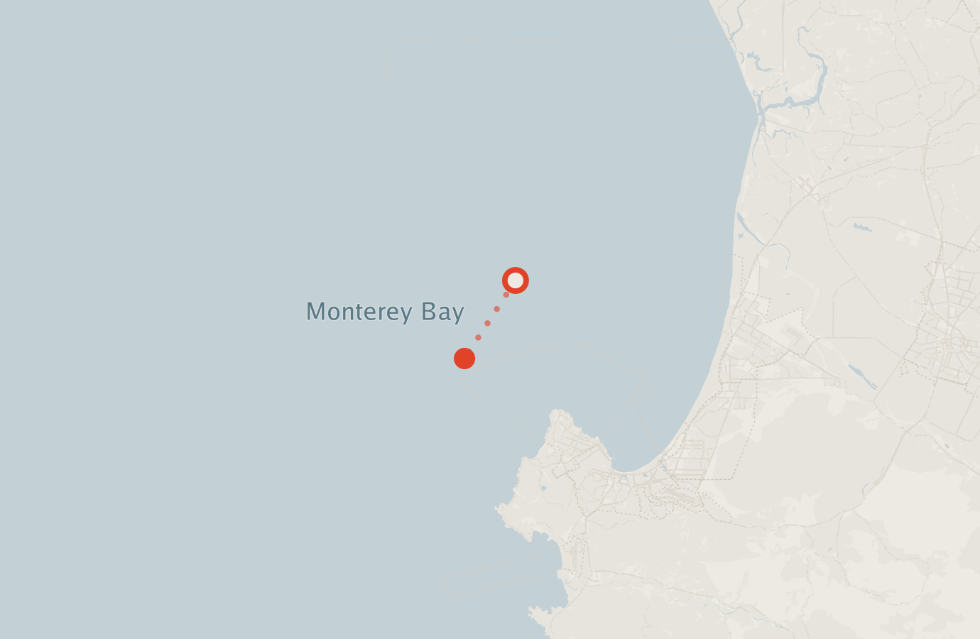 Activity map — real sighting points on an OpenStreetMap basemap