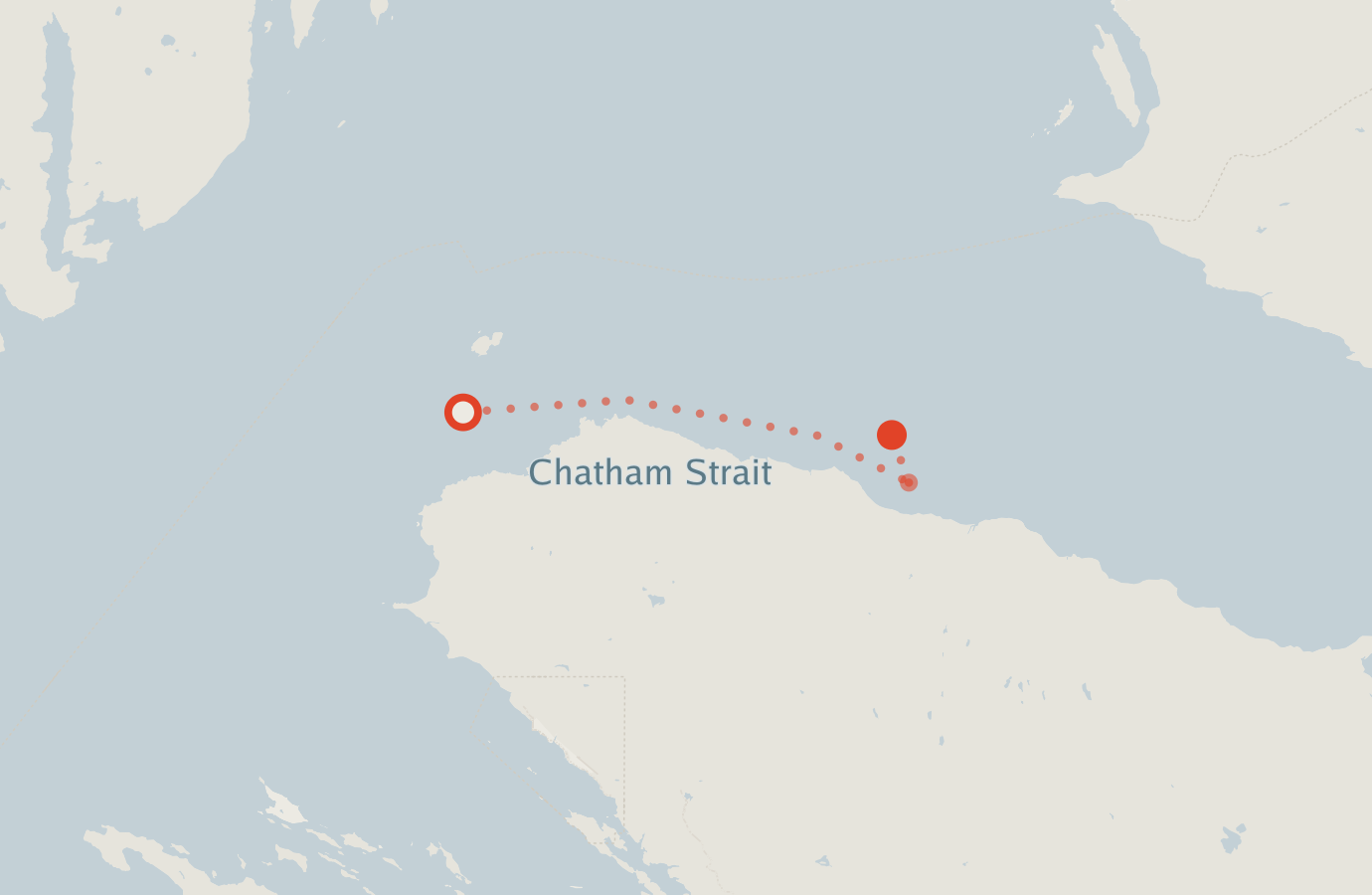 Activity map — real sighting points on an OpenStreetMap basemap