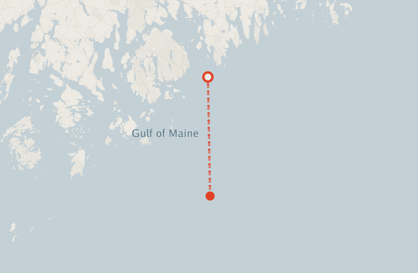 Activity map — real sighting points on an OpenStreetMap basemap