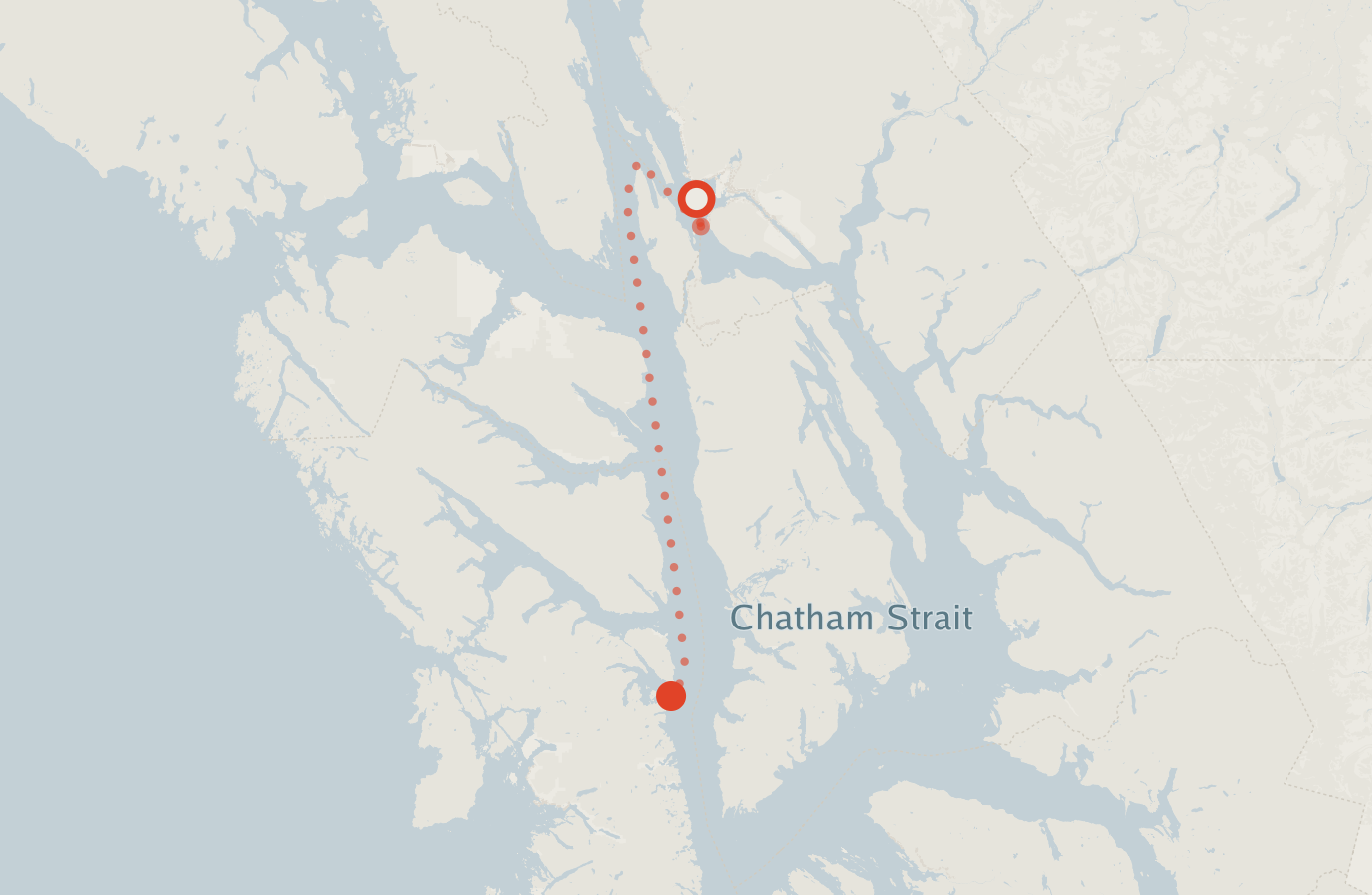 Activity map — real sighting points on an OpenStreetMap basemap