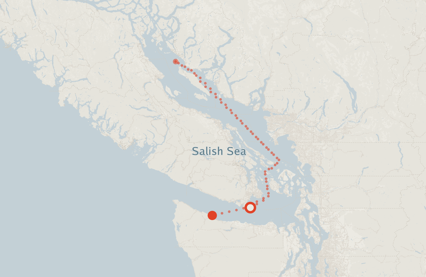 Activity map — real sighting points on an OpenStreetMap basemap