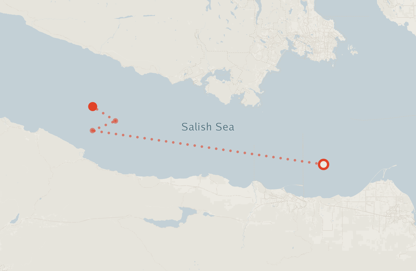 Activity map — real sighting points on an OpenStreetMap basemap