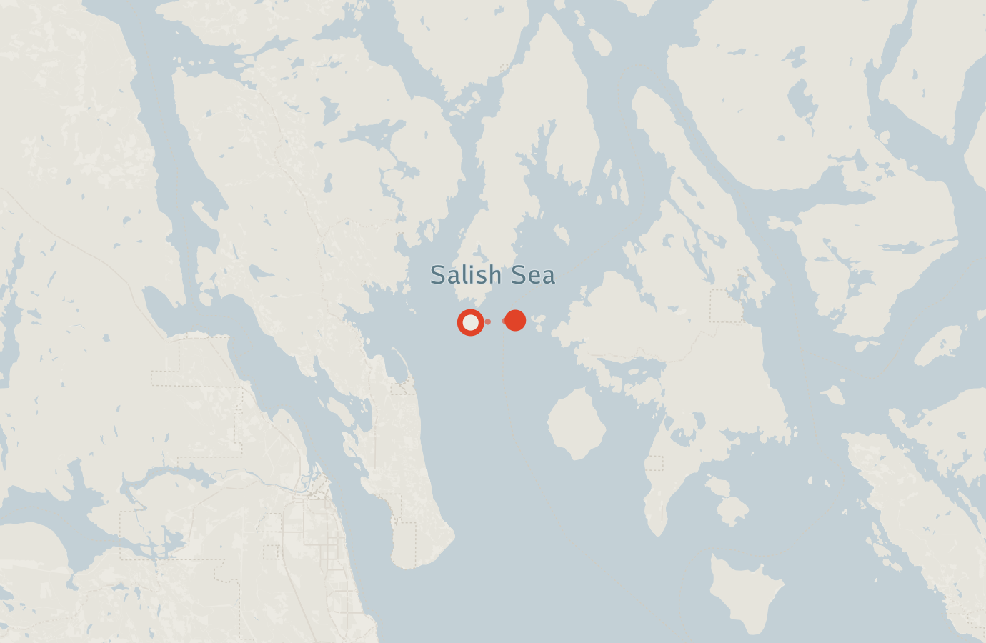 Activity map — real sighting points on an OpenStreetMap basemap