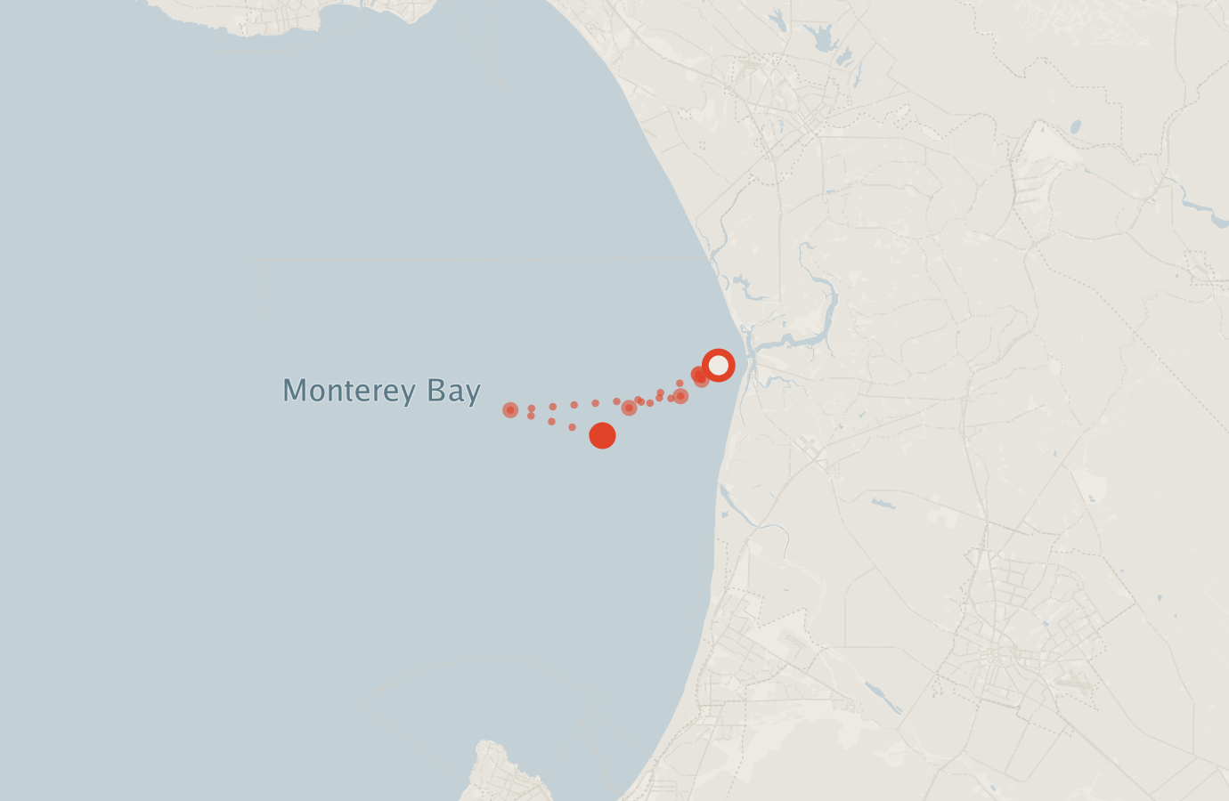Activity map — real sighting points on an OpenStreetMap basemap
