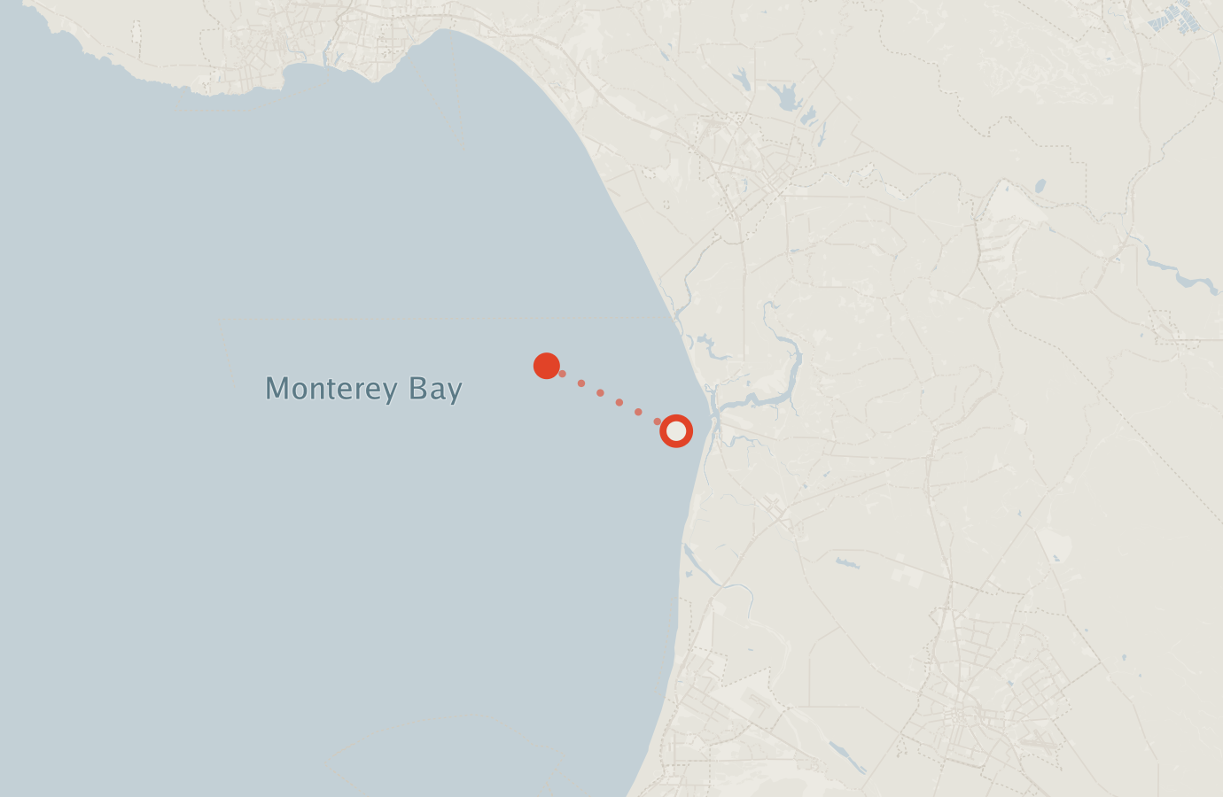 Activity map — real sighting points on an OpenStreetMap basemap