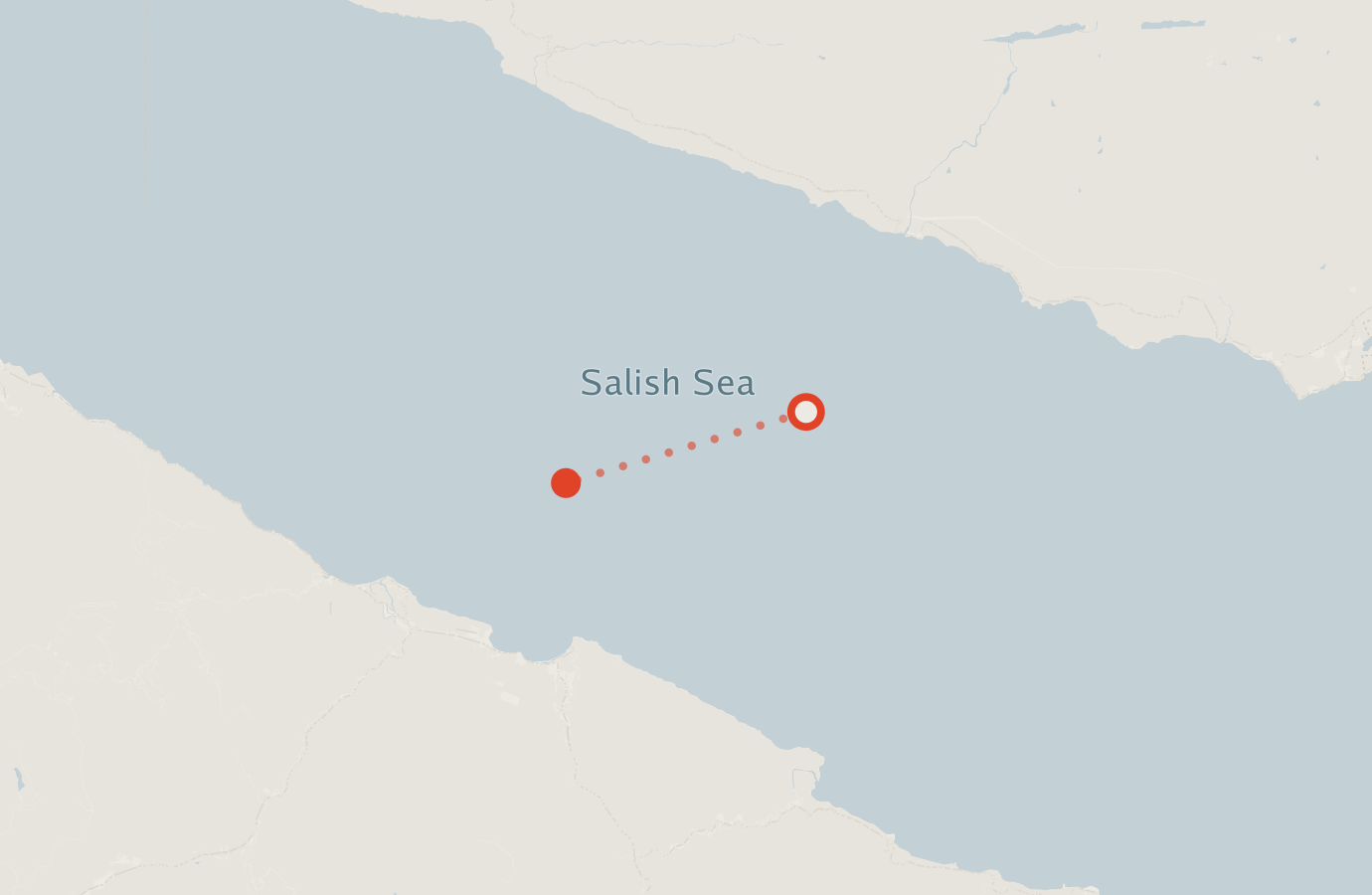 Activity map — real sighting points on an OpenStreetMap basemap