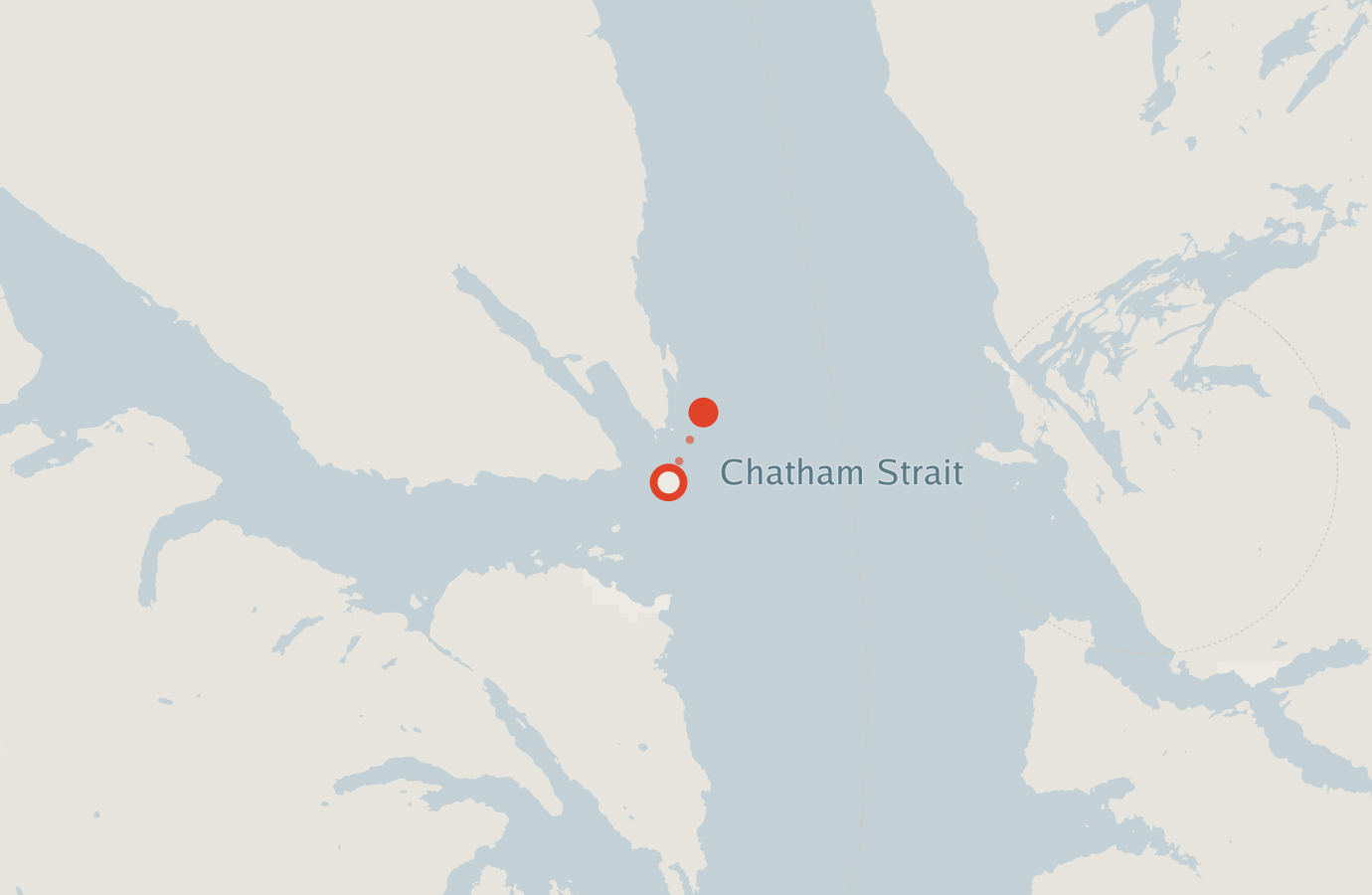 Activity map — real sighting points on an OpenStreetMap basemap